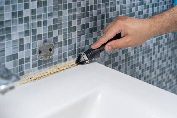 Best Localized Mold Remediation (e.g., coastal areas, humid climates) in Ottawa, IL
